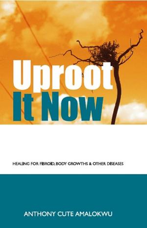 Cover of the book Uproot it Now by Jessica Eissfeldt