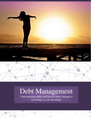 Cover of the book DEBT MANAGEMENT by José Manuel Moreira Batista