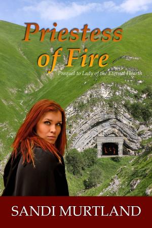 Cover of the book Priestess of Fire by Mark Roberts