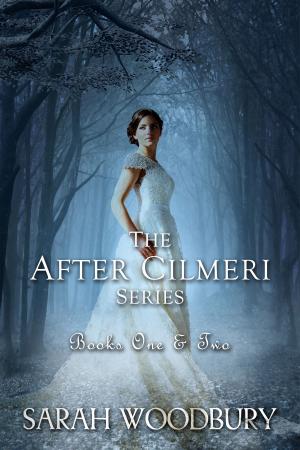 Cover of the book Footsteps in Time & Prince of Time (The After Cilmeri Series) by Sarah Doughty