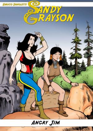 Cover of the book Sandy Grayson: Angry Jim by Jacki Kelly