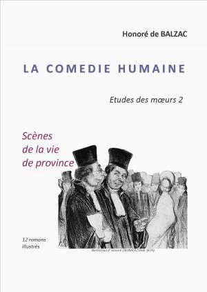 Cover of the book LA COMEDIE HUMAINE Etude des moeurs 2 by EMILE ZOLA