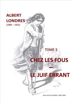 Book cover of CHEZ LES FOUS - LE JUIF ERRANT
