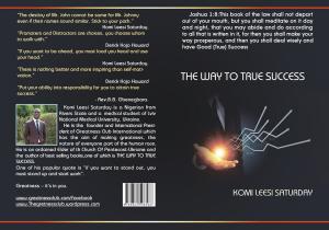 Cover of the book The Way to True Success by Robin Merrill