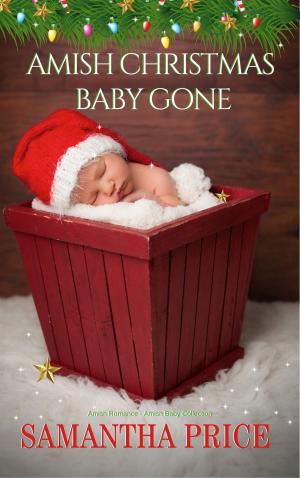 Cover of Amish Christmas Baby Gone