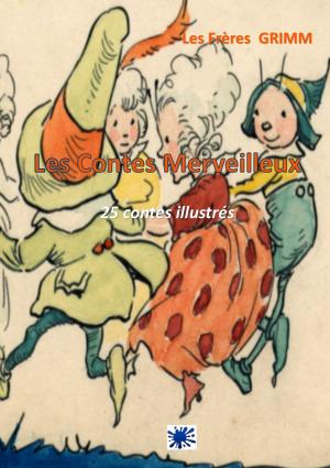 Cover of the book Les Contes Merveilleux by EMMANUEL KANT