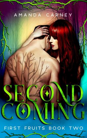 Cover of the book Second Coming by Ryan Sean O'Reilly
