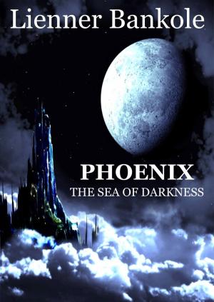 Book cover of PHOENIX