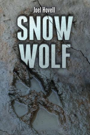 Cover of the book Snow Wolf by Eleanor Rogers