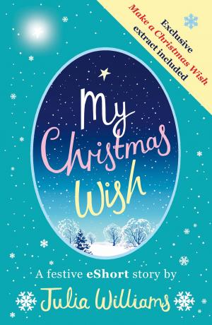 Cover of the book My Christmas Wish by Scott Mariani