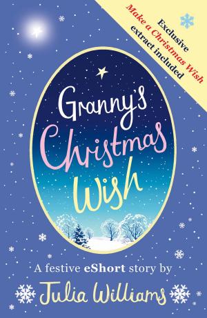 Cover of the book Granny’s Christmas Wish by E. Nesbit