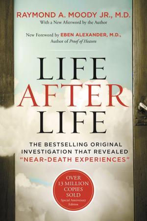 Cover of the book Life After Life by C. S. Lewis