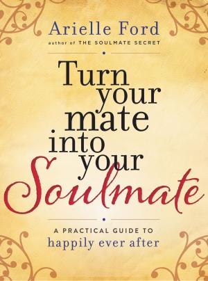 Cover of the book Turn Your Mate into Your Soulmate by Albert Olaoye