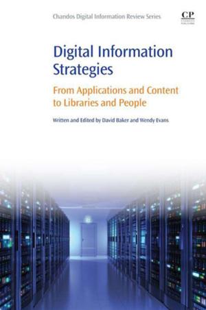 Book cover of Digital Information Strategies