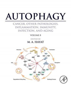 Cover of the book Autophagy: Cancer, Other Pathologies, Inflammation, Immunity, Infection, and Aging by Teresa M. Evans, Natalie Lundsteen, Nathan L. Vanderford