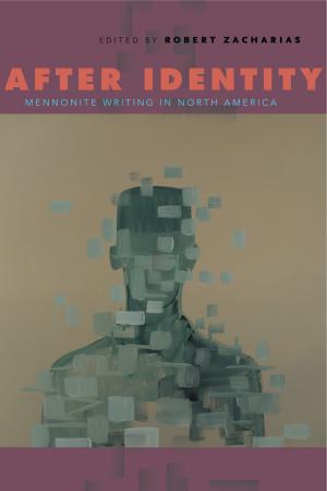 Cover of the book After Identity by Matthew Rampley