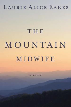 Cover of the book The Mountain Midwife by Mark Mittelberg, Lee Strobel