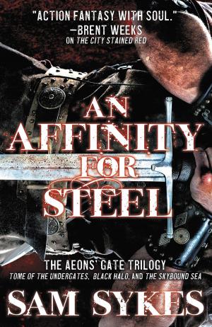 Cover of the book An Affinity for Steel by Michelle Louring
