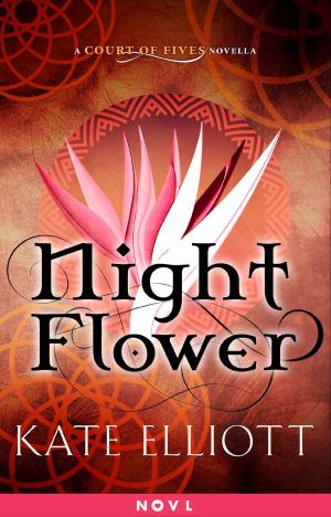 Cover of the book Night Flower by brabim karki