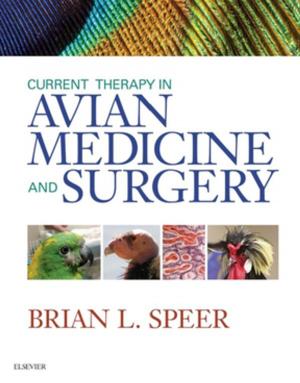 Cover of the book Current Therapy in Avian Medicine and Surgery - E-Book by Kim A. Sprayberry, DVM, DACVIM, N. Edward Robinson, BVetMed, PhD, MRCVS Docteur Honoris Causa (Liege)