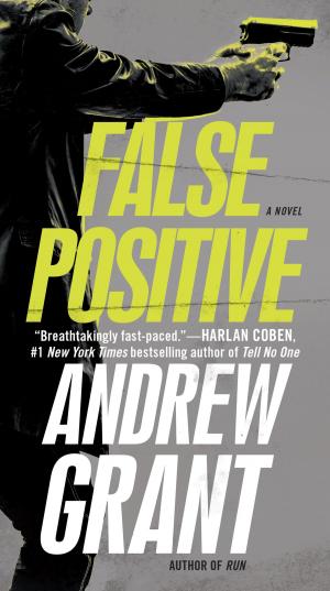 Cover of the book False Positive by Parker Williams