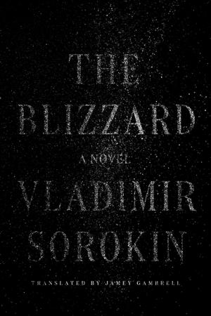 Book cover of The Blizzard