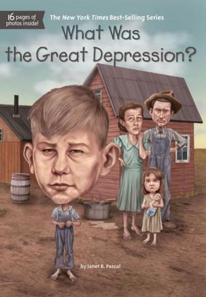 Book cover of What Was the Great Depression?