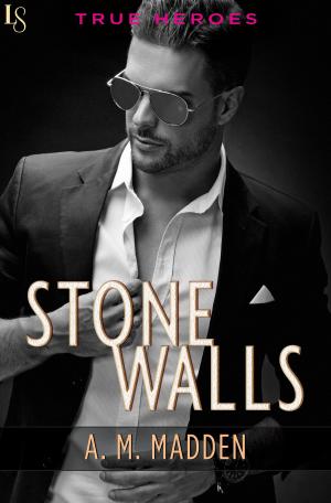 Cover of the book Stone Walls by Todd J. McCaffrey