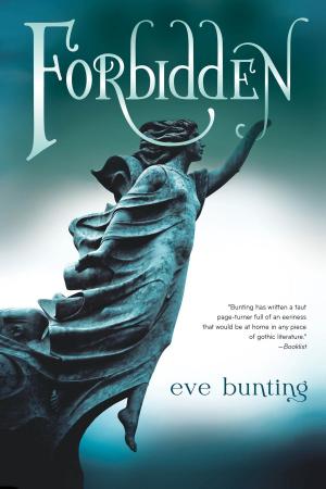 Cover of the book Forbidden by Jean Ferris