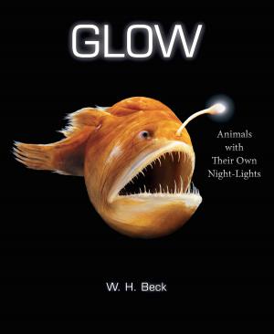 Cover of the book Glow by Frances H. Kennedy