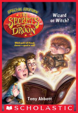 Cover of the book Wizard or Witch? (The Secrets of Droon: Special Edition #2) by Tony Abbott