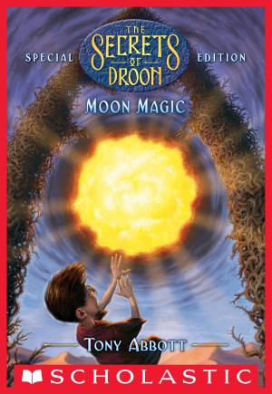 Cover of the book Moon Magic (The Secrets of Droon: Special Edition #5) by Jenni L. Walsh