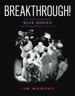 Cover of the book Breakthrough! by Darlene B Morris