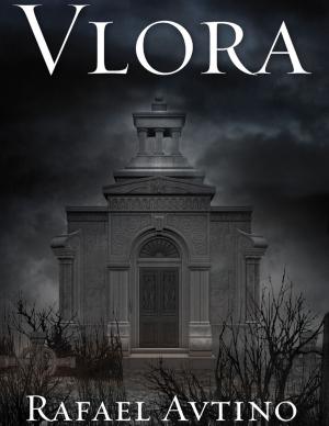 Cover of the book Vlora by Jamie Heppner