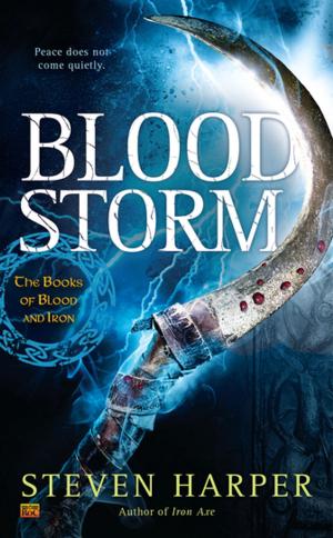 Cover of the book Blood Storm by Lora Leigh