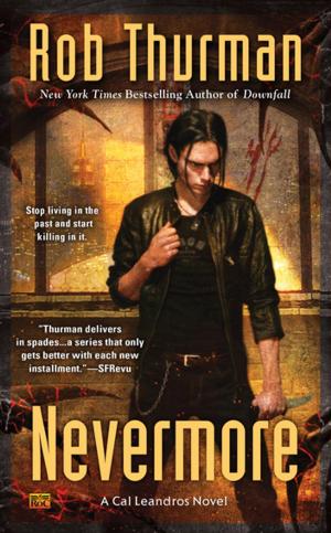Cover of the book Nevermore by Erin Knightley