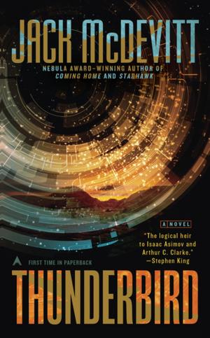 Cover of the book Thunderbird by Deanna Davis, Ph.D.