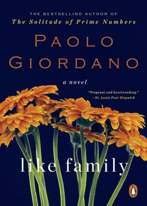 bigCover of the book Like Family by 