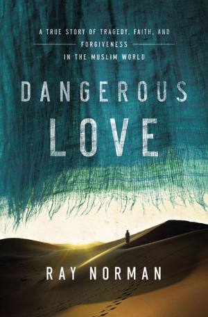 Cover of the book Dangerous Love by Katherine Reay
