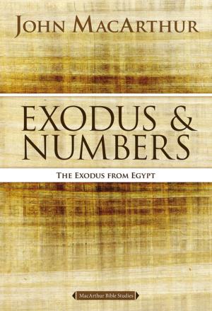 Cover of the book Exodus and Numbers by John MacArthur