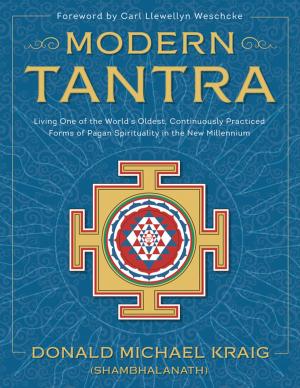 Book cover of Modern Tantra