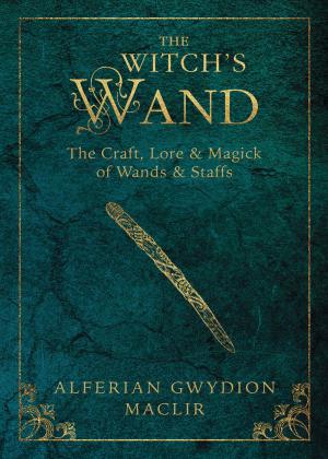 Cover of the book The Witch's Wand by D.J. Conway
