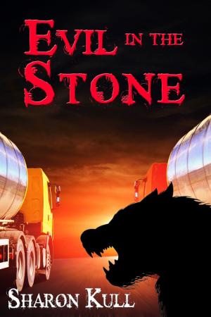Cover of the book Evil in the Stone by Betty Sullivan La Pierre