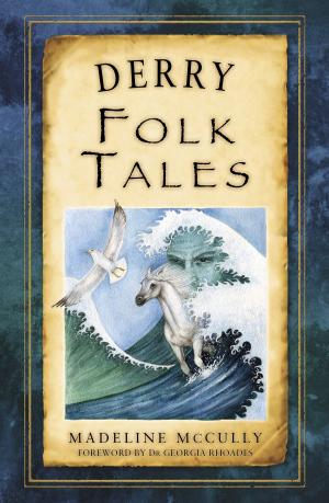 Cover of the book Derry Folk Tales by Michael Barry