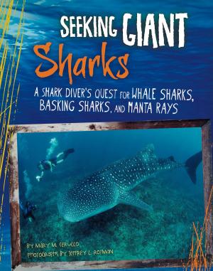 Cover of the book Seeking Giant Sharks by Kim O'Brien