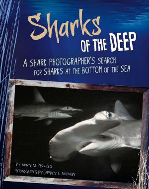 Cover of the book Sharks of the Deep by Lucy Courtenay
