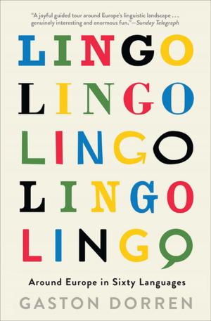 Cover of the book Lingo by Jeanette Winterson