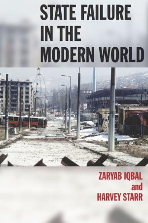Cover of the book State Failure in the Modern World by Carmen-Francesca Banciu