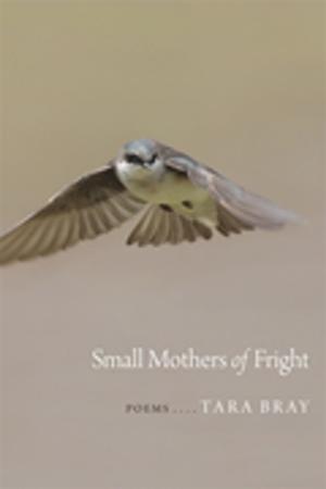 Cover of the book Small Mothers of Fright by Daniel Mark Epstein