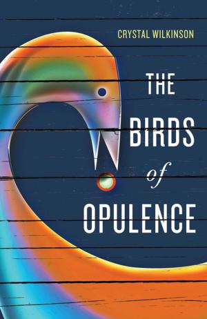 Cover of the book The Birds of Opulence by Yvonne Honeycutt Baldwin